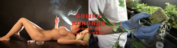 СК Инта