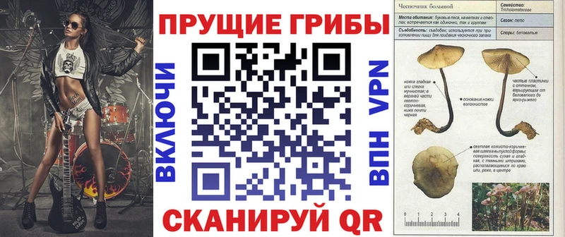 Галлюциногенные грибы Cubensis  Купить закладки  Палласовка 